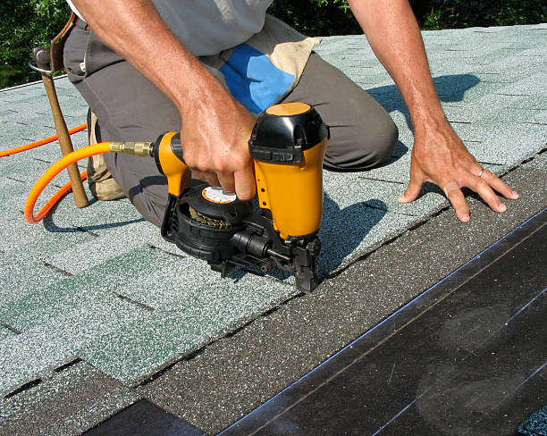 Best Roof Gutter Cleaning  in Battle Creek, NE