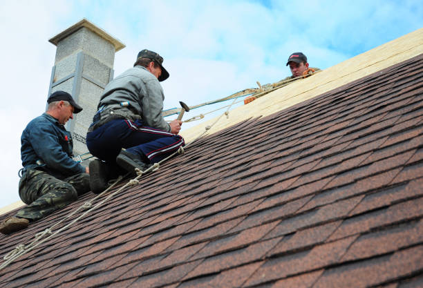 Gutter Installation and Roofing in Battle Creek, NE